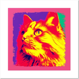 Domestic Long Hair Pop Art - Cat Lover Gift. Cool cat design for Long-haired moggie lovers - Features House Cat or Longhair Household Pet design with pop art styles. Great cat artwork for Domestic long-haired cat lovers. Posters and Art